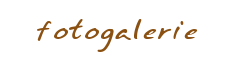 fotogalerie
