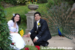 Svatební portrét