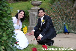 Svatební portrét